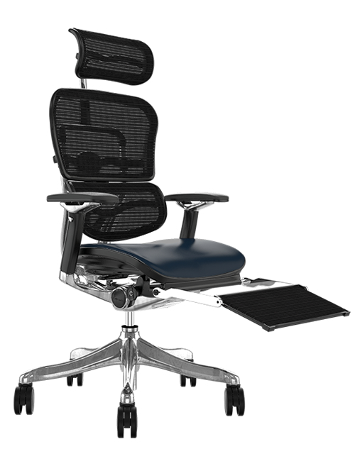 ergohuman office chair with leg rest